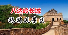 毛茸茸的小屄在线播放中国北京-八达岭长城旅游风景区